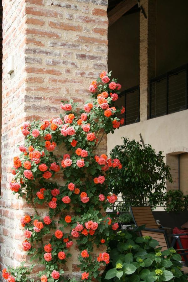 San Zenone Le Tre Arti B&B المظهر الخارجي الصورة